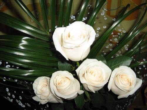 Букет белых роз - отличный товар