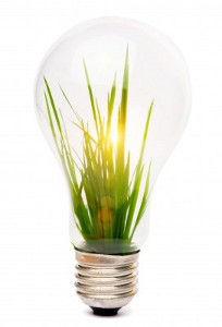Лампочка и трава внутри нее - символ идеи
